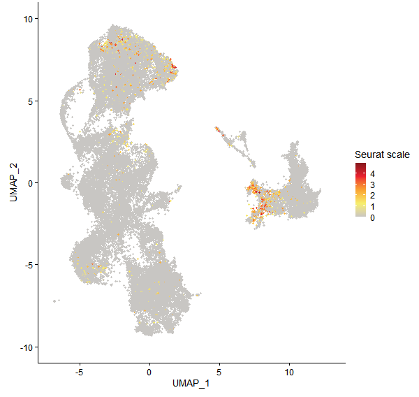 Feature plot of Mp7g19390 on UMAP