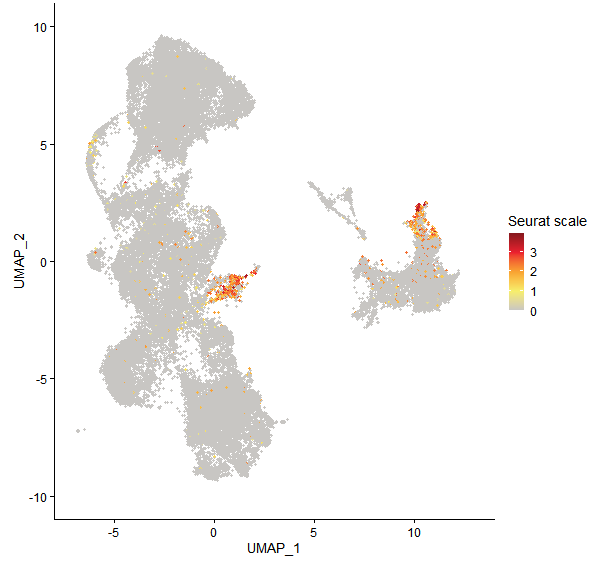 Feature plot of Mp8g01720 on UMAP