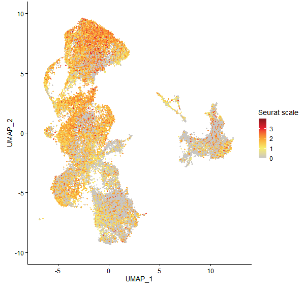 Feature plot of Mp8g02510 on UMAP