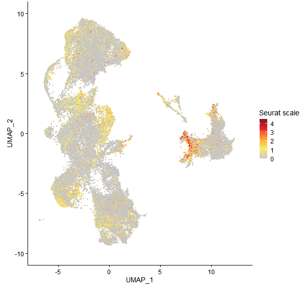 Feature plot of Mp8g05070 on UMAP