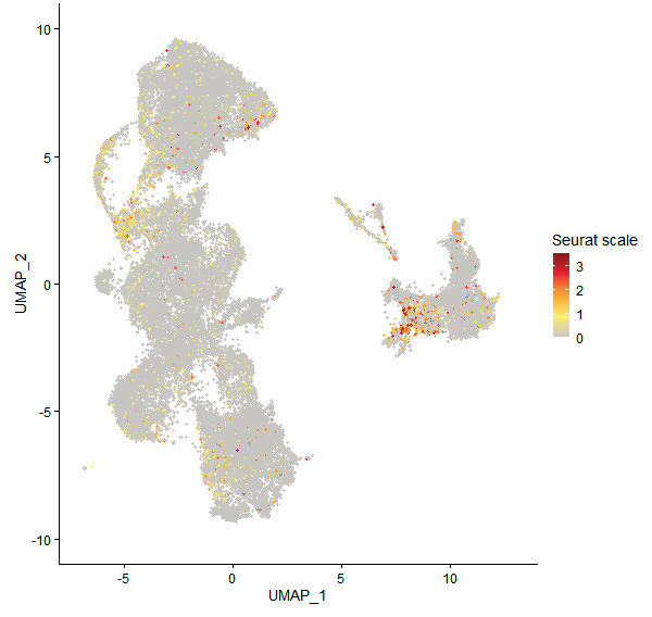 Feature plot of Mp8g05790 on UMAP