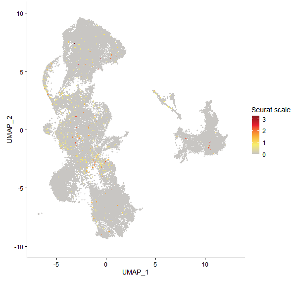 Feature plot of Mp8g06180 on UMAP