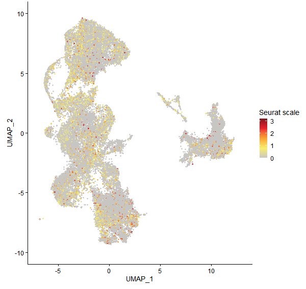 Feature plot of Mp8g06370 on UMAP