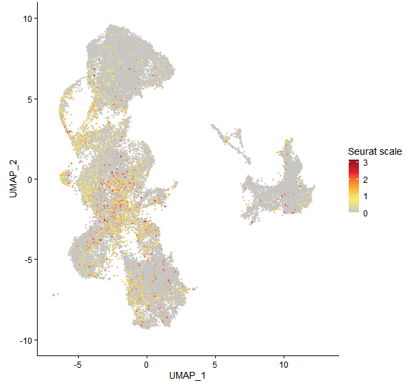 Feature plot of Mp8g07080 on UMAP