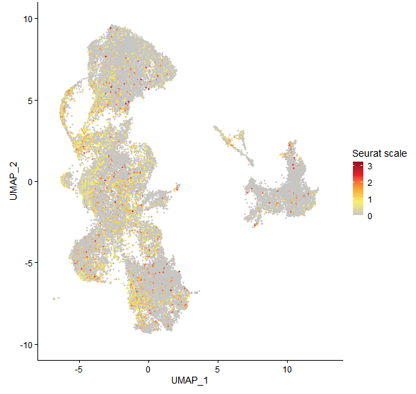 Feature plot of Mp8g07940 on UMAP