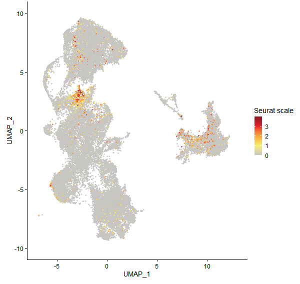 Feature plot of Mp8g09630 on UMAP