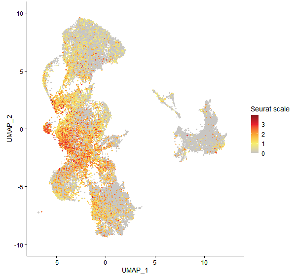 Feature plot of Mp8g10280 on UMAP