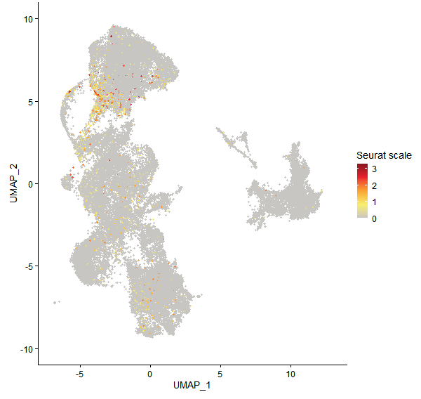 Feature plot of Mp8g10370 on UMAP