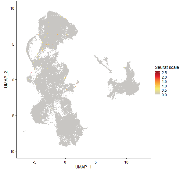 Feature plot of Mp8g10380 on UMAP