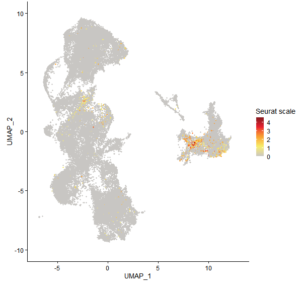 Feature plot of Mp8g10460 on UMAP