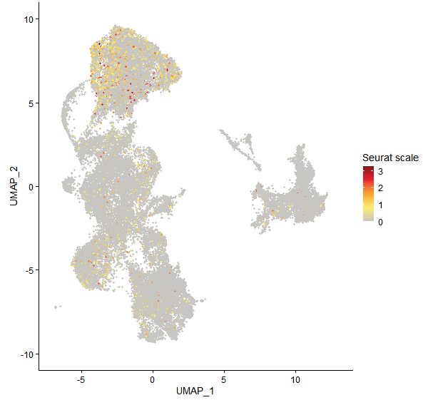 Feature plot of Mp8g12130 on UMAP