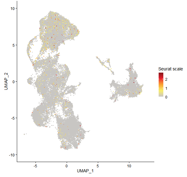 Feature plot of Mp8g14490 on UMAP