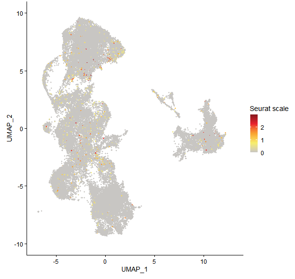 Feature plot of Mp8g14970 on UMAP