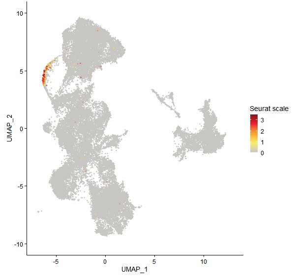 Feature plot of Mp8g15500 on UMAP