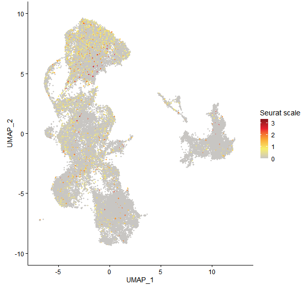 Feature plot of Mp8g16070 on UMAP