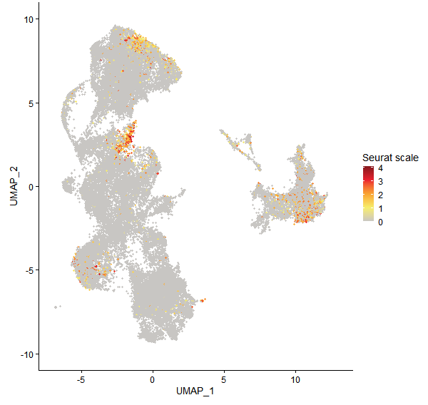 Feature plot of Mp8g16290 on UMAP