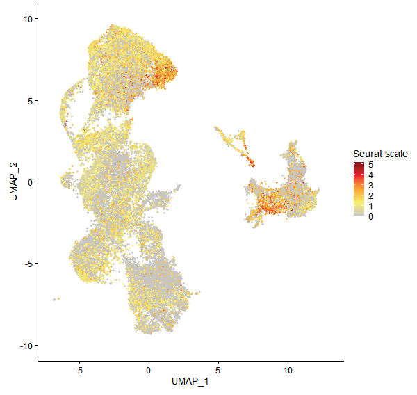 Feature plot of Mp8g16400 on UMAP