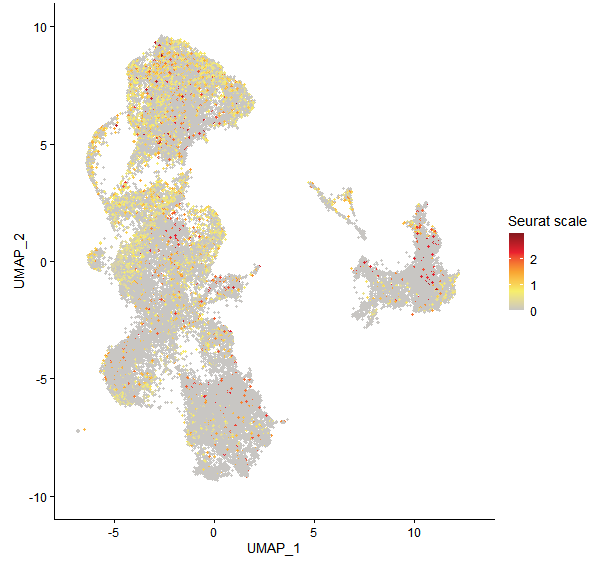 Feature plot of Mp8g18520 on UMAP