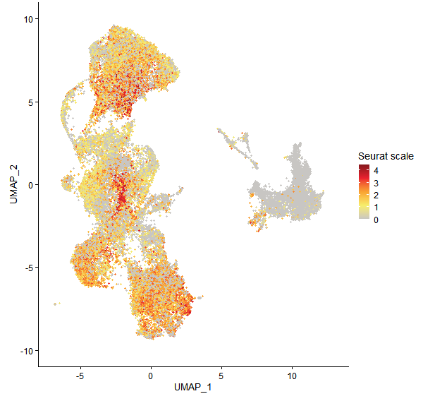 Feature plot of Mp8g18980 on UMAP